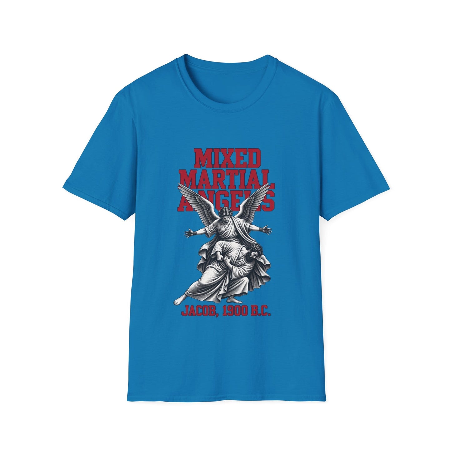 BIBLICAL MMA T-Shirt