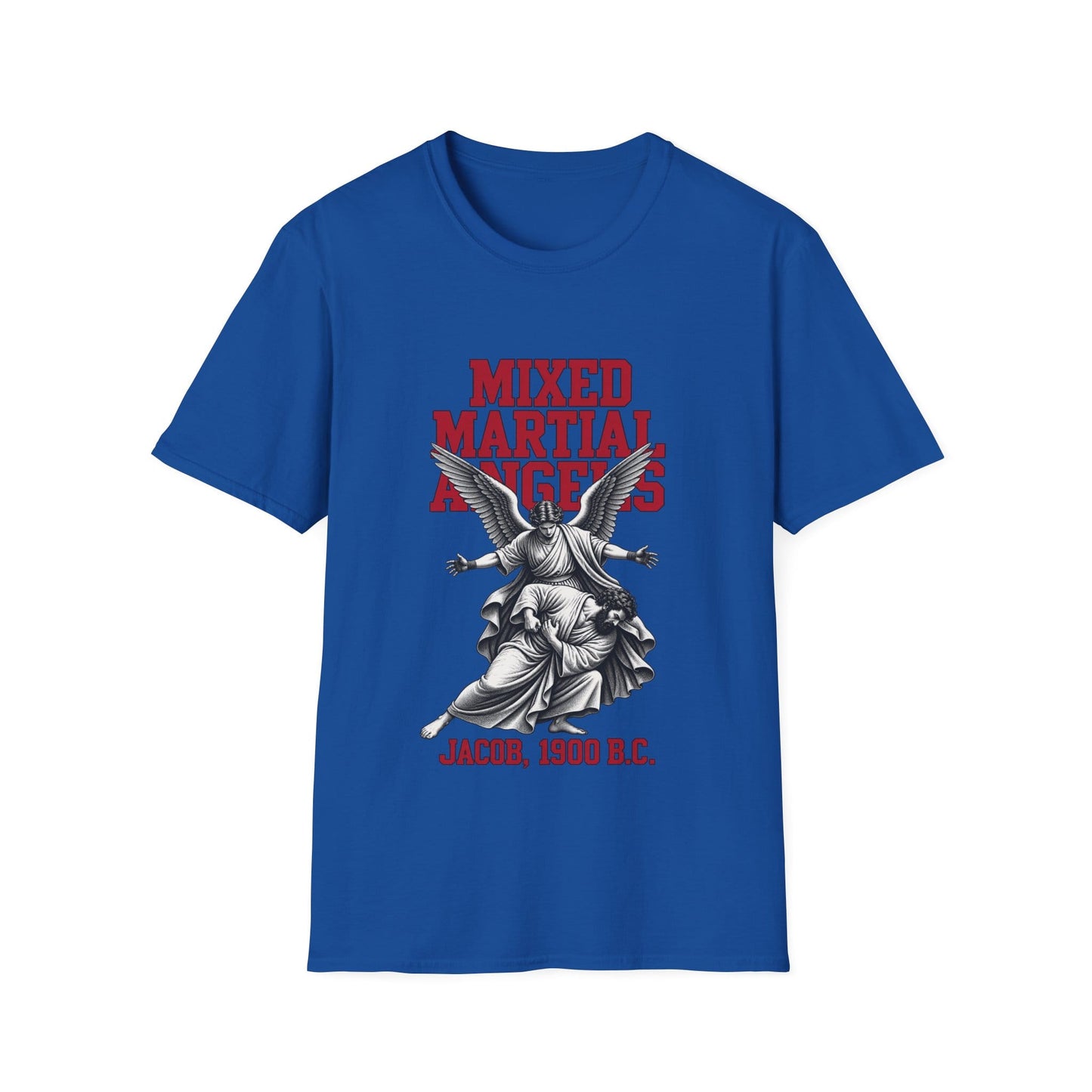 BIBLICAL MMA T-Shirt