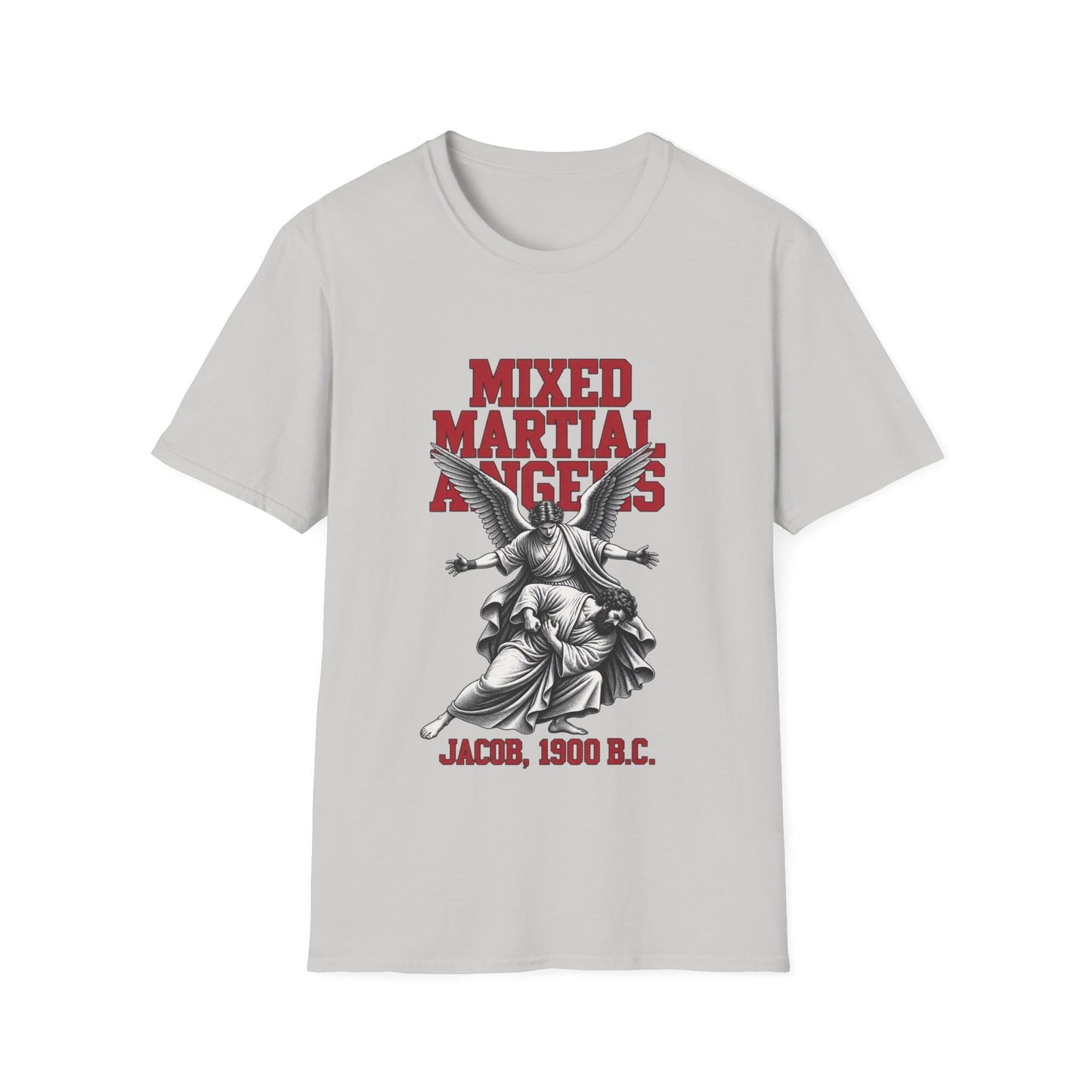 BIBLICAL MMA T-Shirt