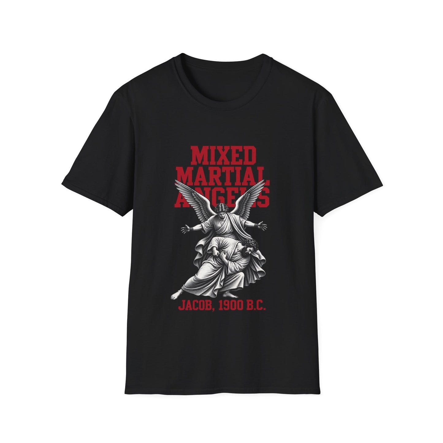 BIBLICAL MMA T-Shirt