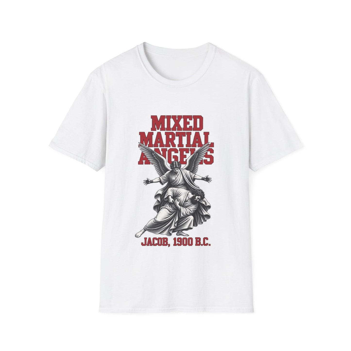 BIBLICAL MMA T-Shirt